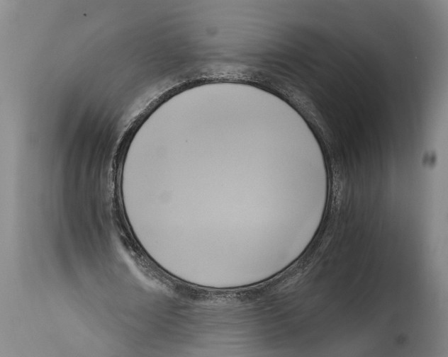 X0000114410674200911131429