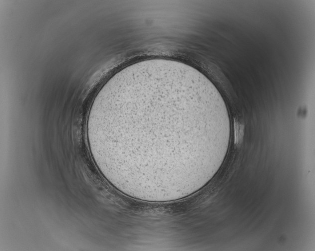 X0000114410675200911131429