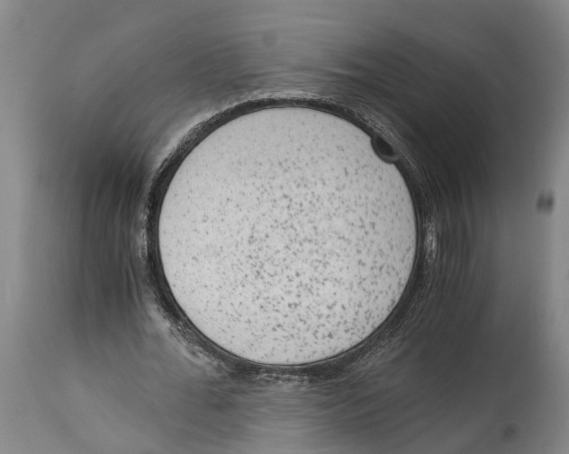 X0000114410676200911131429