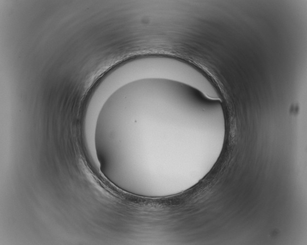 X0000114410677200911131428