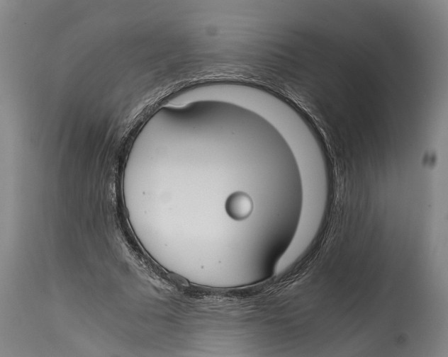 X0000114410681200911131428