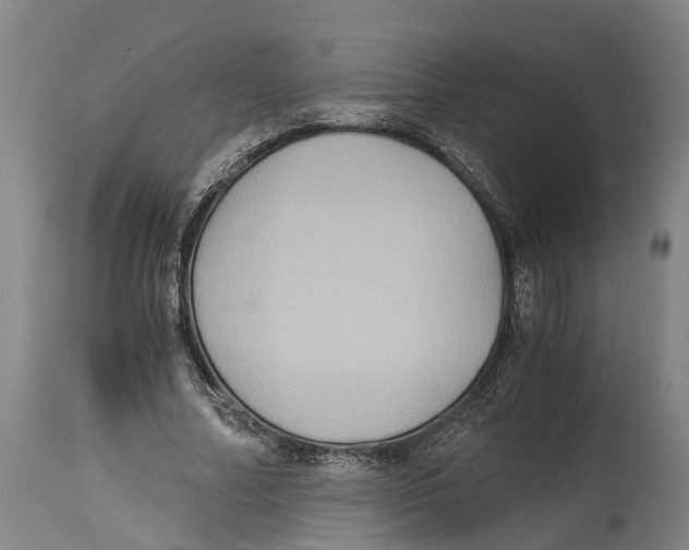 X0000114410682200911131428