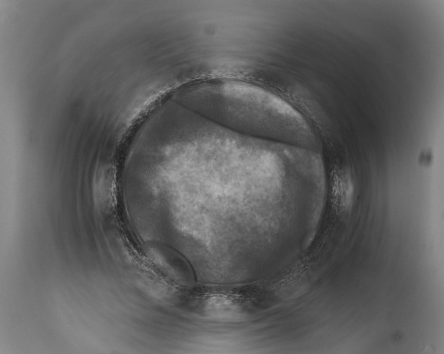 X0000114410684200911131428