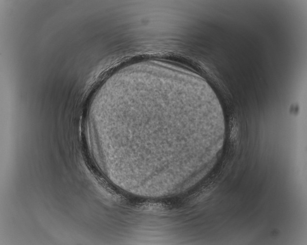 X0000114410685200911131428