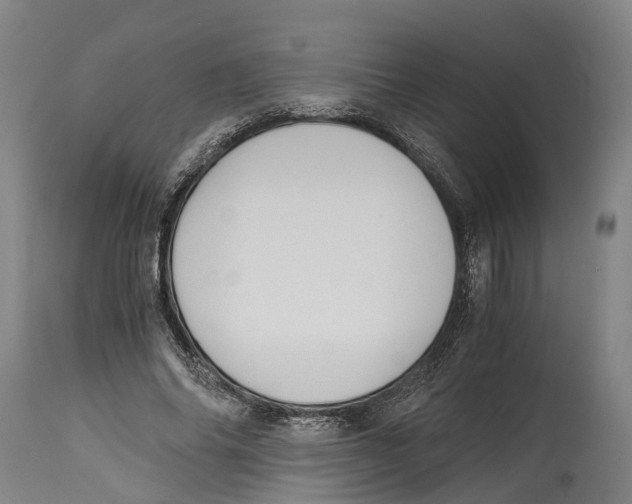 X0000114410686200911131428