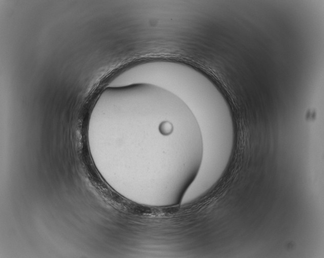 X0000114410688200911131428