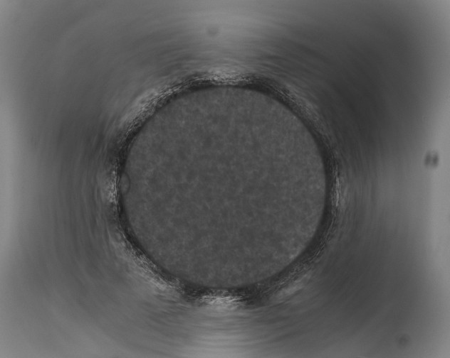 X0000114410689200911131428