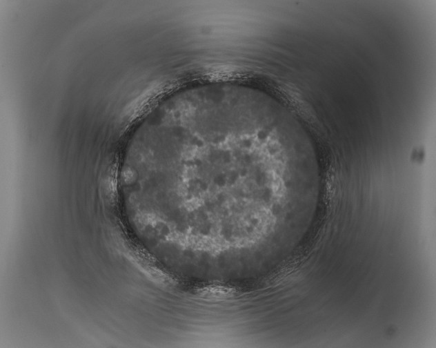 X0000114410691200911131428