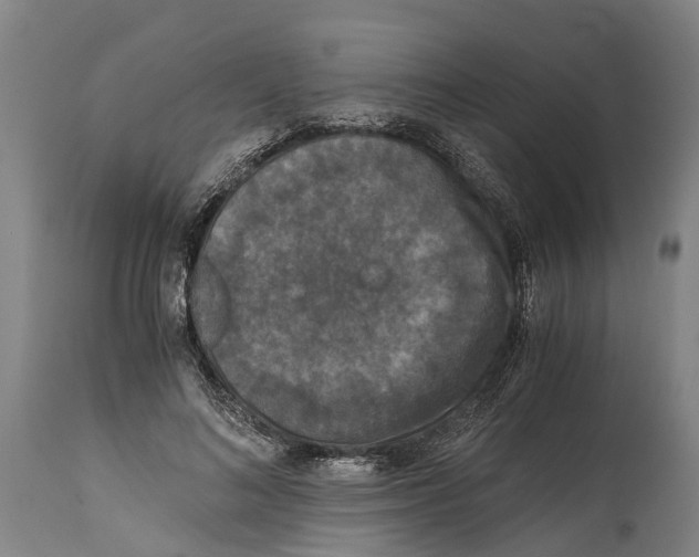 X0000114410692200911131428