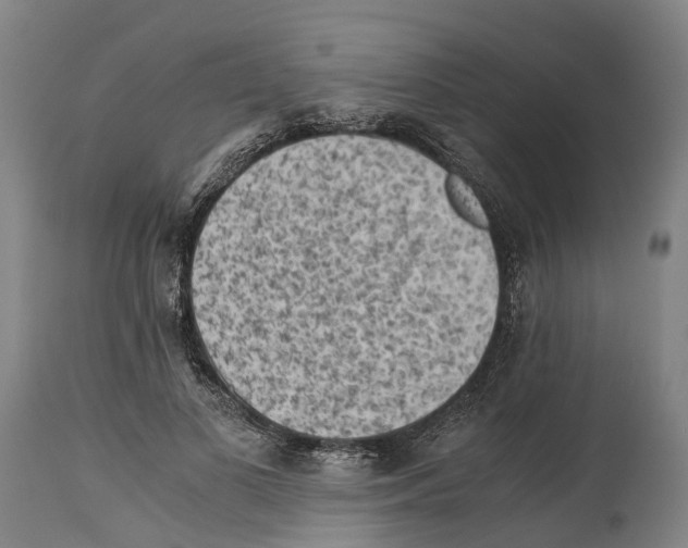 X0000114410693200911131428