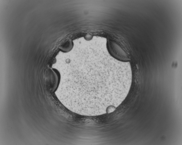 X0000114410697200911131428