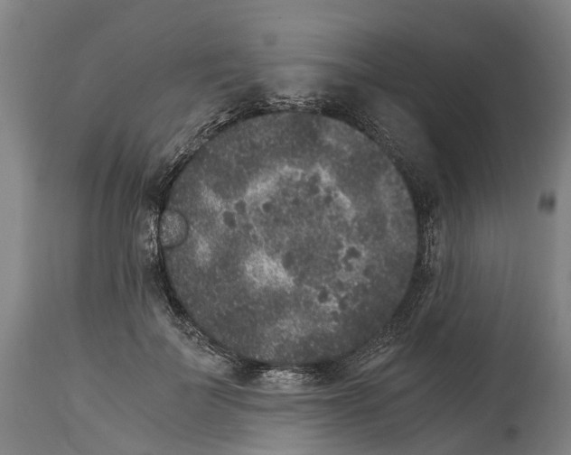 X0000114410699200911131428