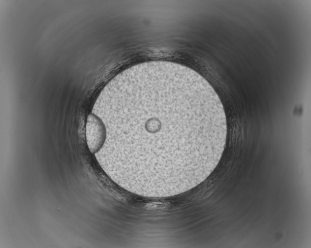 X0000114410700200911131428