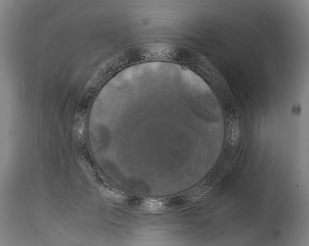 X0000114410701200911131428