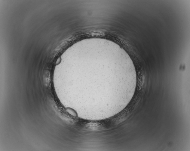 X0000114410704200911131428