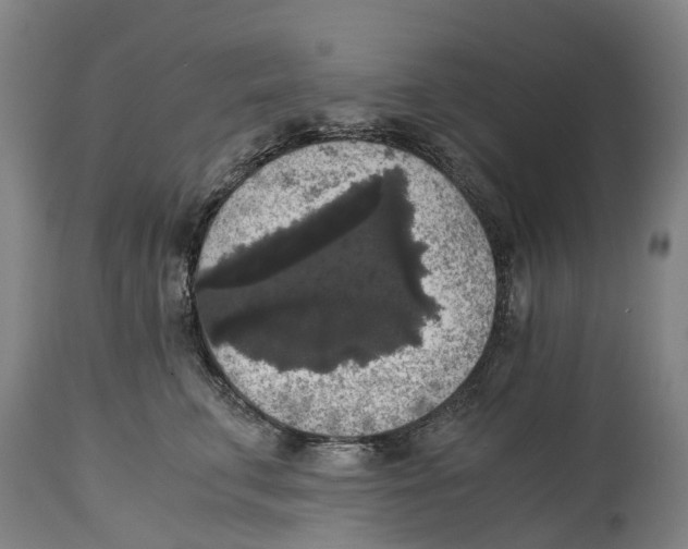 X0000114410711200911131428