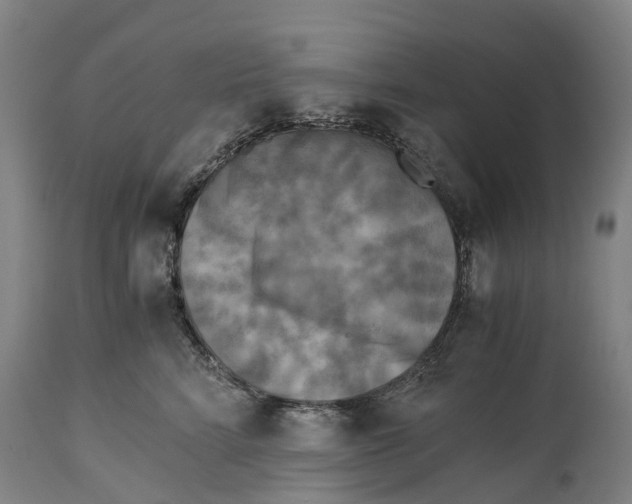 X0000114410712200911131428