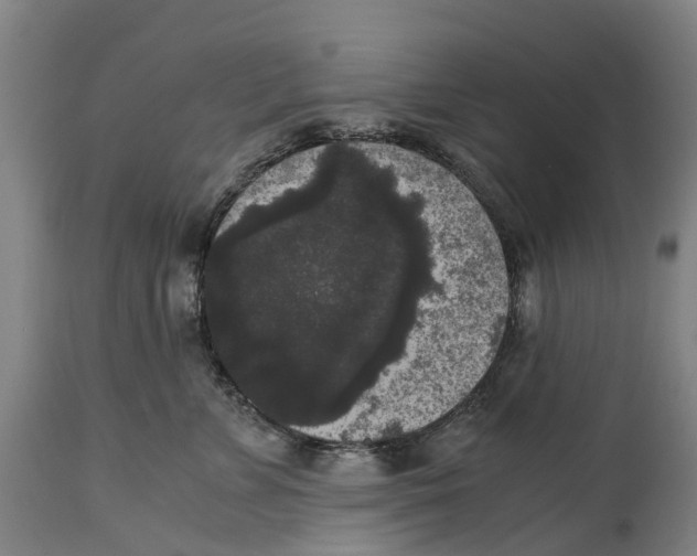 X0000114410715200911131428