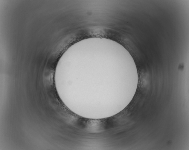 X0000114410717200911131428