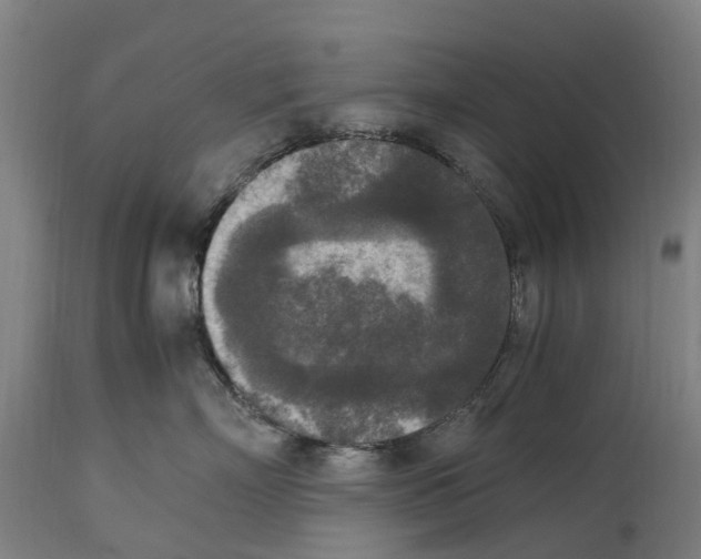 X0000114410718200911131428