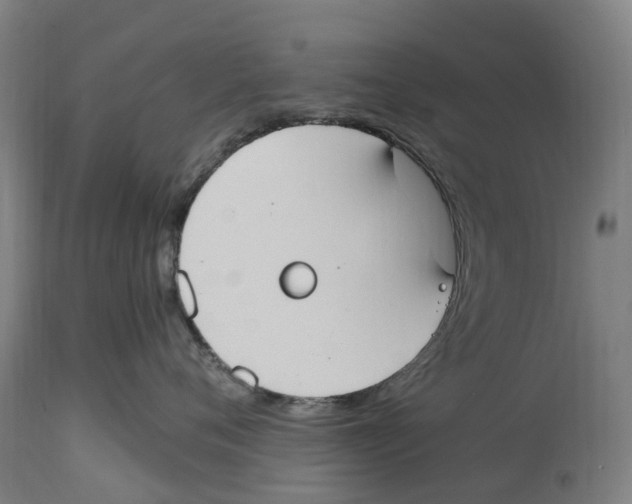 X0000114410720200911131428