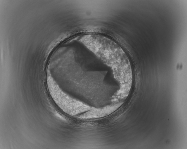 X0000114410721200911131427