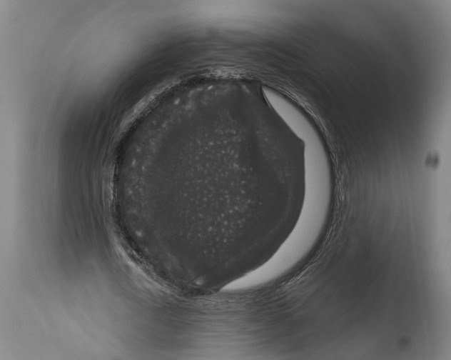 X0000114410722200911131427