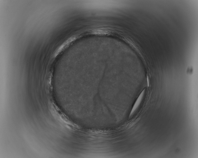 X0000114410723200911131427