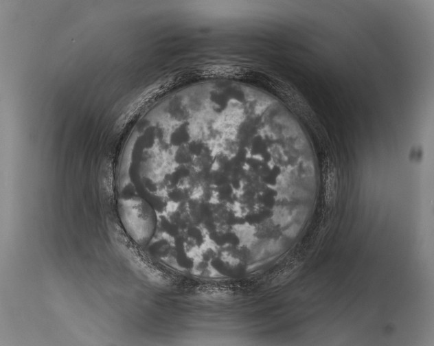 X0000114410729200911131427