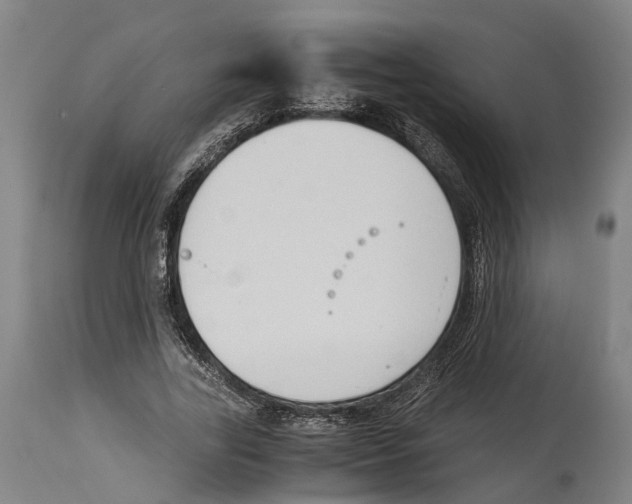 X0000114410731200911131427