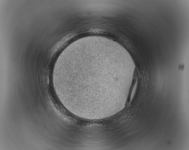 X0000114410734200911131427