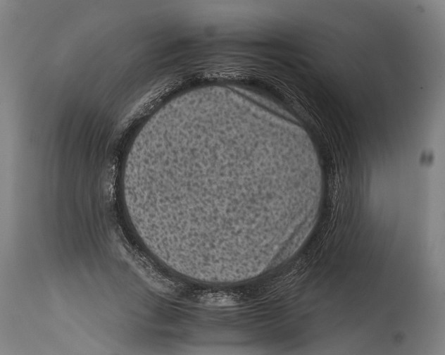 X0000114410735200911131427