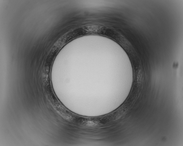 X0000114410737200911131427