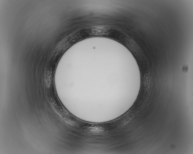 X0000114410741200911131428