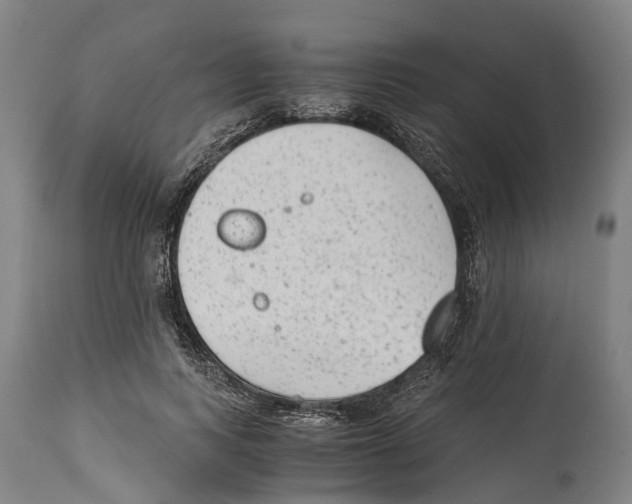 X0000114410743200911131428