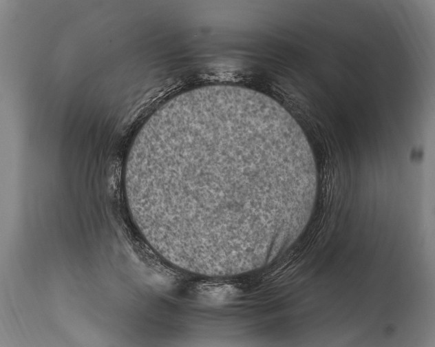 X0000114410747200911131428