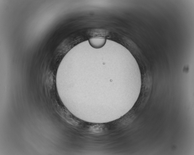 X0000114410761200911131428