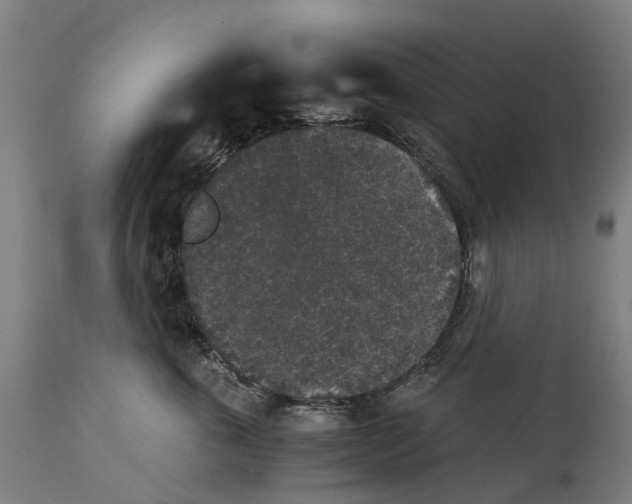 X0000114410763200911131428