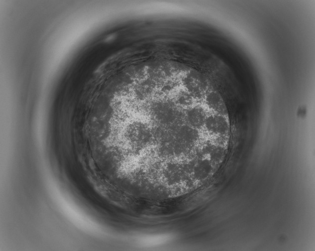 X0000114410765200911131428