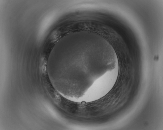 X0000114410766200911131428