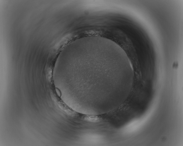 X0000114410767200911131428