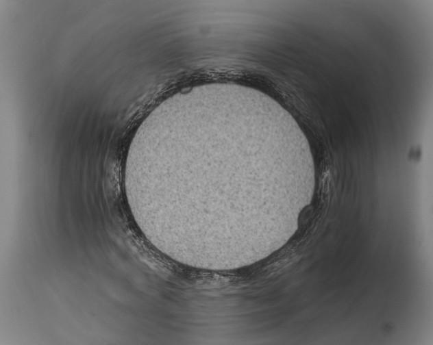 X0000114410772200911131427