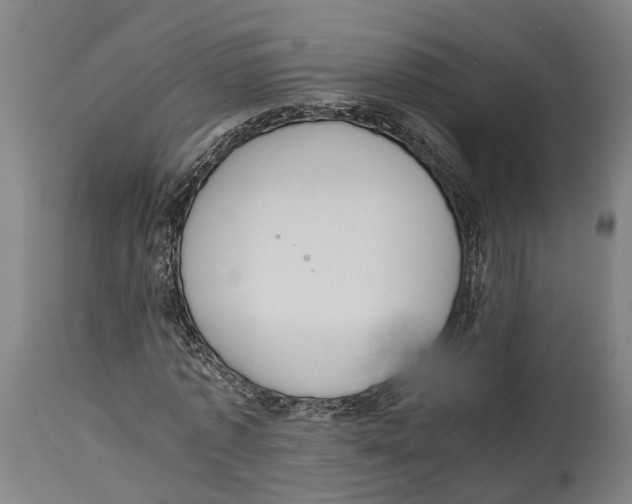 X0000114410773200911131427