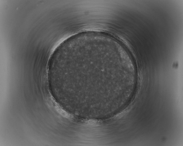 X0000114410779200911131427