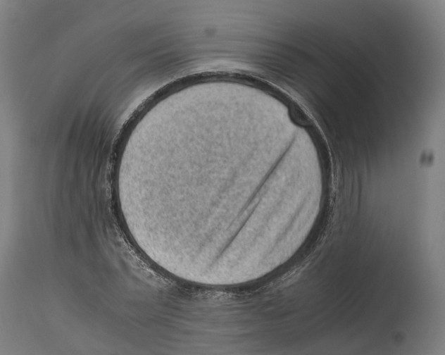 X0000114410783200911131427