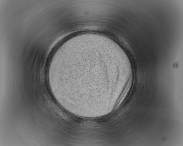 X0000114410784200911131427