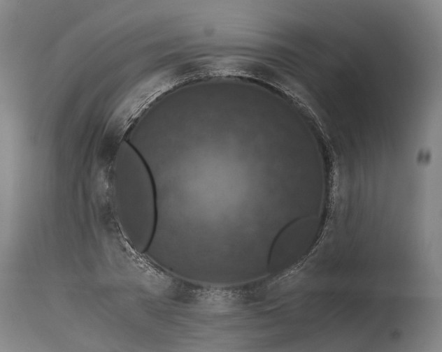 X0000114410785200911131427