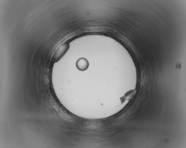 X0000114410786200911131427