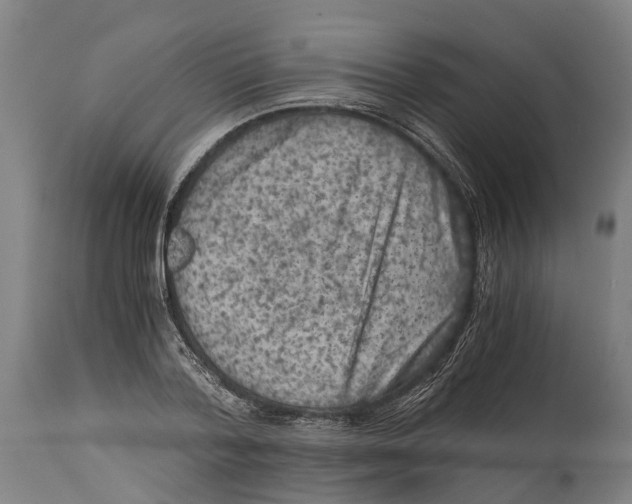 X0000114410788200911131427