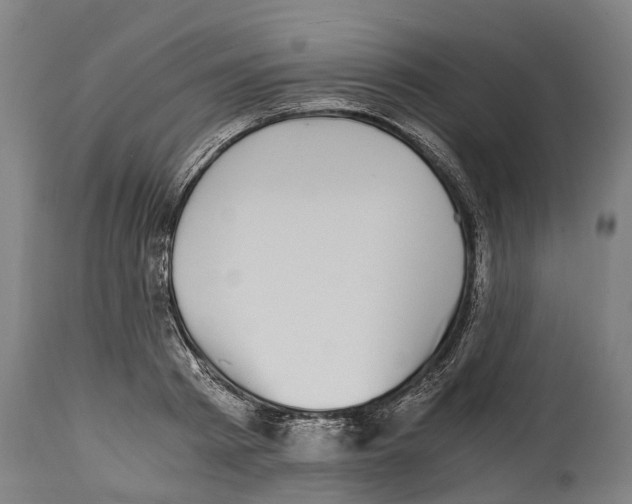 X0000114410793200911131427